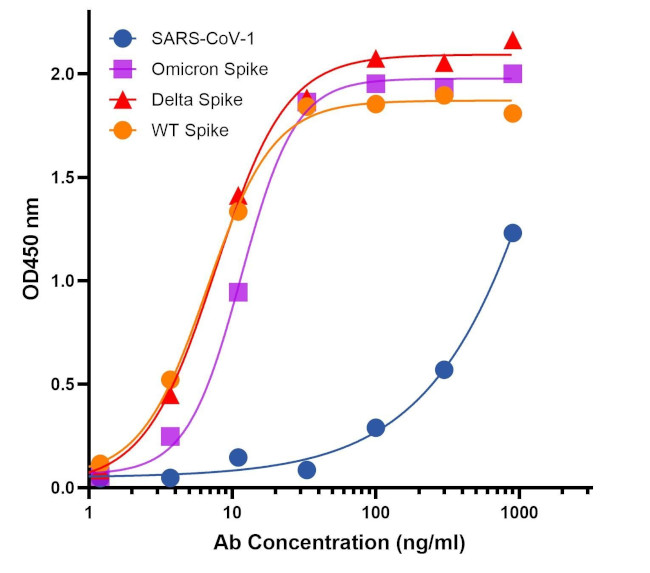 SARS-CoV-2 Spike Protein S1 Antibody in ELISA (ELISA)