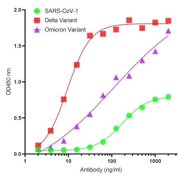 SARS-CoV-2 Spike Protein S2 Antibody in ELISA (ELISA)