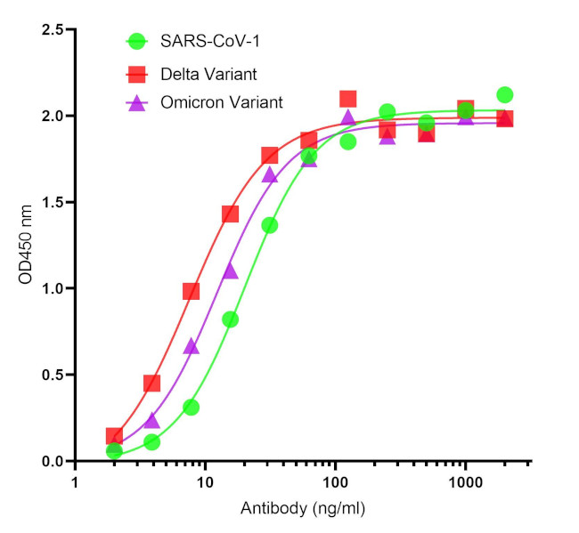 SARS-CoV-2 Spike Protein S2 Antibody in ELISA (ELISA)