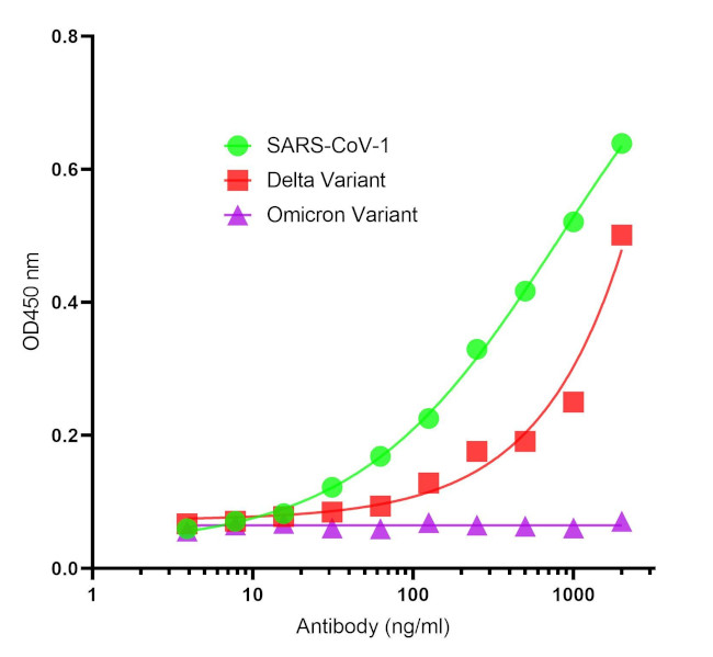 SARS-CoV-2 Spike Protein S2 Antibody in ELISA (ELISA)