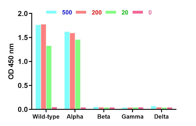 SARS-CoV-2 Spike Protein RBD Antibody in ELISA (ELISA)