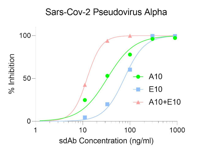 SARS-CoV-2 Spike Protein RBD Antibody in Neutralization (Neu)