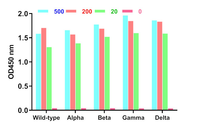 SARS-CoV-2 Spike Protein RBD Antibody in ELISA (ELISA)