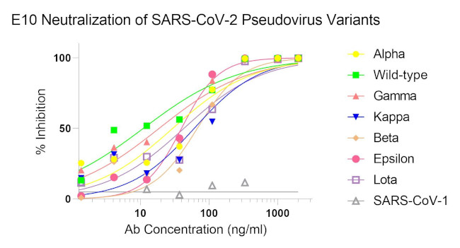 SARS-CoV-2 Spike Protein RBD Antibody in Neutralization (Neu)