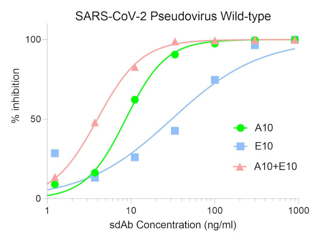 SARS-CoV-2 Spike Protein RBD Antibody in Neutralization (Neu)