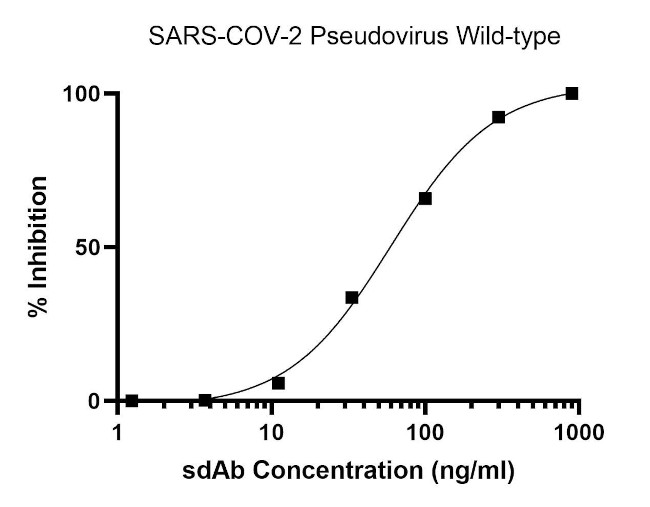 SARS-CoV-2 Spike Protein RBD Antibody in Neutralization (Neu)