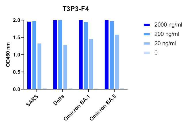 SARS-CoV-2 Spike (trimer) Protein Antibody in ELISA (ELISA)