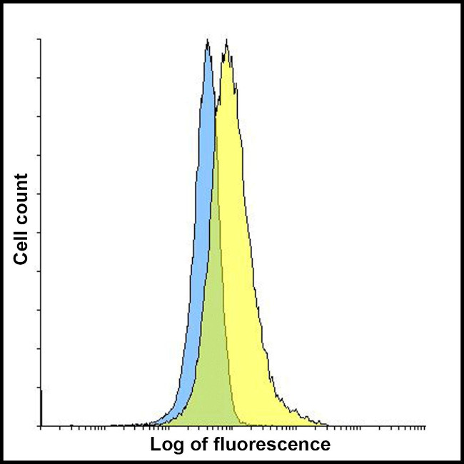 TIGIT Antibody in Flow Cytometry (Flow)