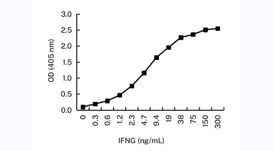 IFN gamma Antibody in ELISA (ELISA)