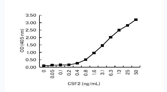 GM-CSF Antibody in ELISA (ELISA)