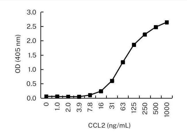 MCP-1 Antibody in ELISA (ELISA)