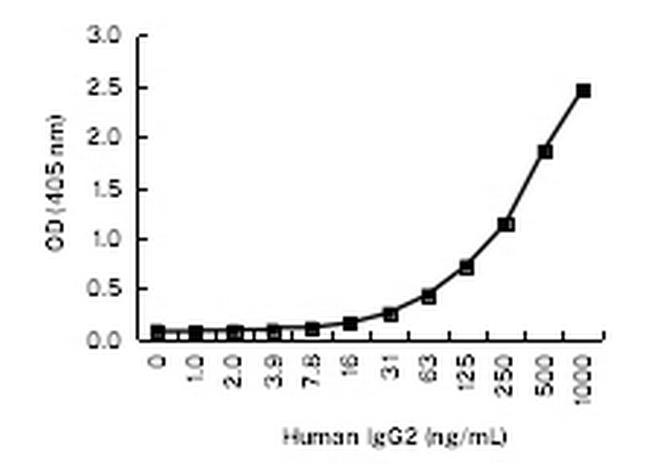 Human IgG2 Antibody in ELISA (ELISA)