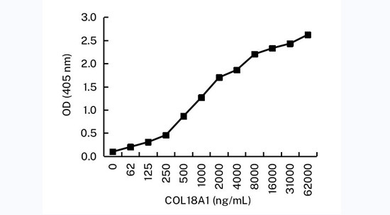 Endostatin Antibody in ELISA (ELISA)