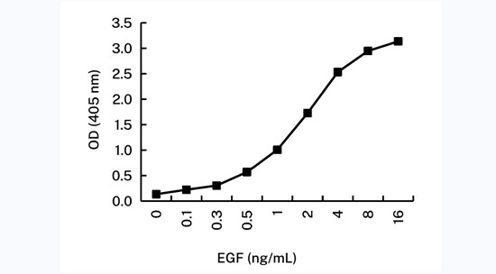 EGF Antibody in ELISA (ELISA)