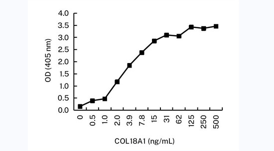 Endostatin Antibody in ELISA (ELISA)