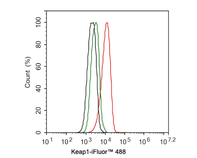 KEAP1 Antibody in Flow Cytometry (Flow)