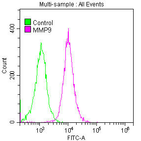 MMP9 Antibody in Flow Cytometry (Flow)