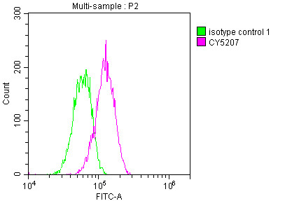 ATM Antibody in Flow Cytometry (Flow)