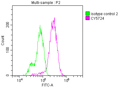 RET Antibody in Flow Cytometry (Flow)