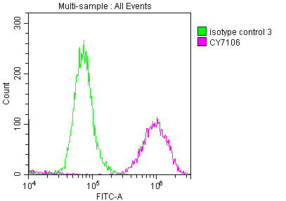 LOXL2 Antibody in Flow Cytometry (Flow)