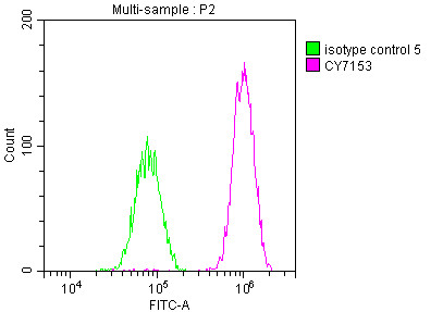 PAK2 Antibody in Flow Cytometry (Flow)