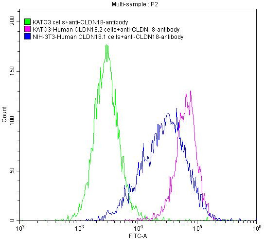 Claudin 18 Antibody in Flow Cytometry (Flow)