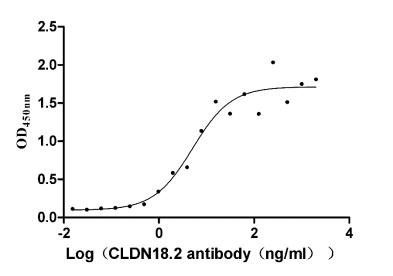 Claudin 18 Antibody in Neutralization (Neu)