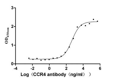 CCR4 Antibody in ELISA (ELISA)