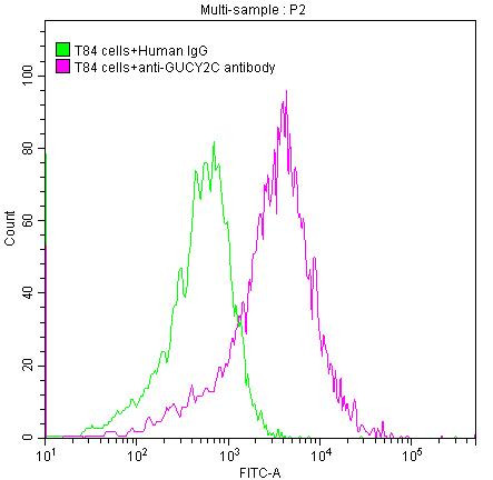 GUCY2C Antibody in Flow Cytometry (Flow)