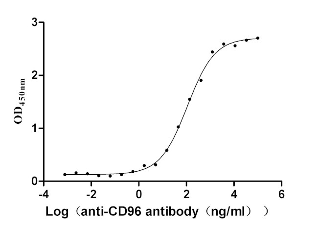 CD96 Antibody in Neutralization (Neu)