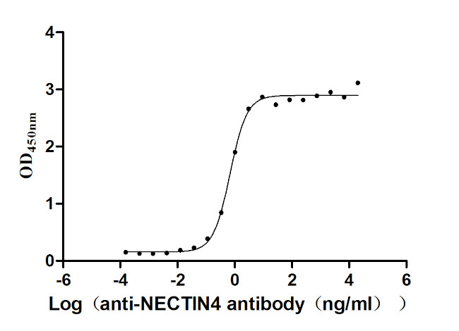 Nectin 4 Antibody in ELISA (ELISA)