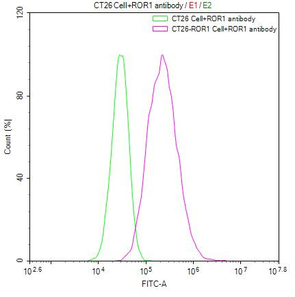 ROR1 Antibody in Flow Cytometry (Flow)