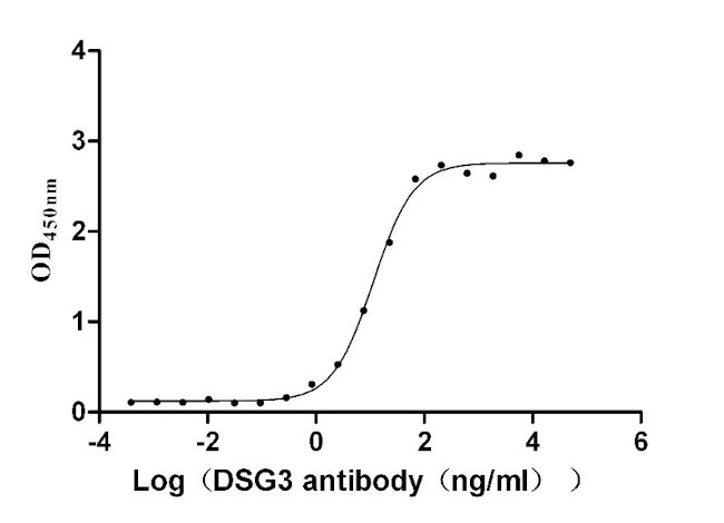 Desmoglein 3 Antibody in Neutralization (Neu)