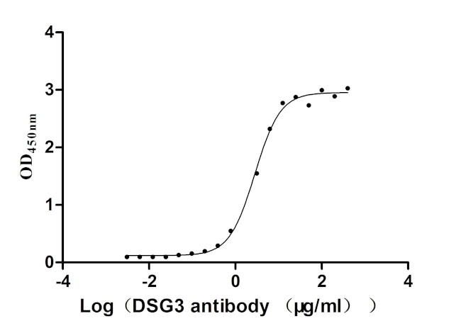 Desmoglein 3 Antibody in Neutralization (Neu)