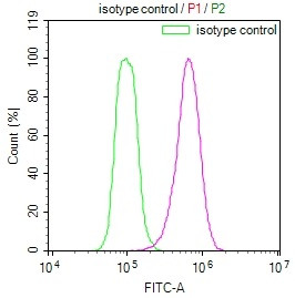HSP90 beta Antibody in Flow Cytometry (Flow)
