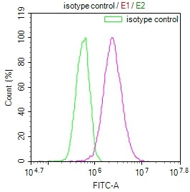 Occludin Antibody in Flow Cytometry (Flow)