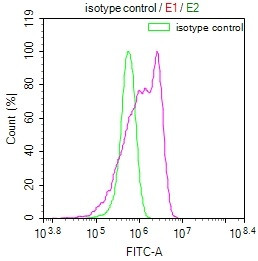 RPS19 Antibody in Flow Cytometry (Flow)