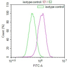 JNK3 Antibody in Flow Cytometry (Flow)