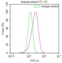 NUDT5 Antibody in Flow Cytometry (Flow)