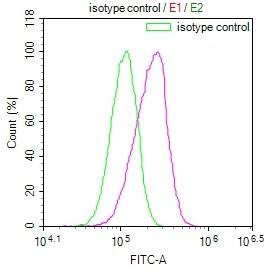 Serine racemase Antibody in Flow Cytometry (Flow)