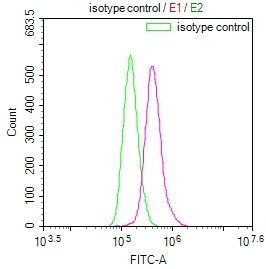 GLUT3 Antibody in Flow Cytometry (Flow)