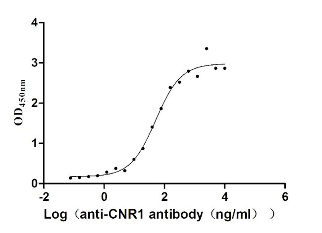 Cannabinoid Receptor 1 Antibody in ELISA (ELISA)