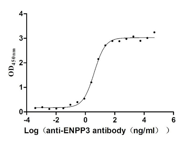 CD203c Antibody in Neutralization (Neu)