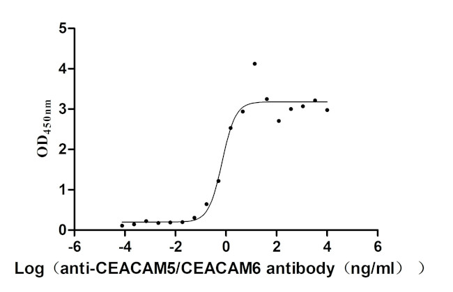 CEACAM5/CEACAM6 Antibody in Neutralization (Neu)