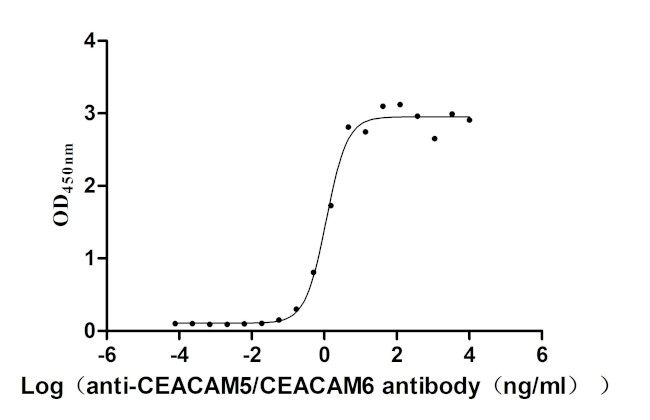 CEACAM5/CEACAM6 Antibody in Neutralization (Neu)