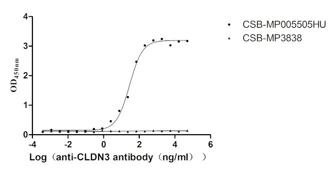 Claudin 3 Antibody in Neutralization (Neu)