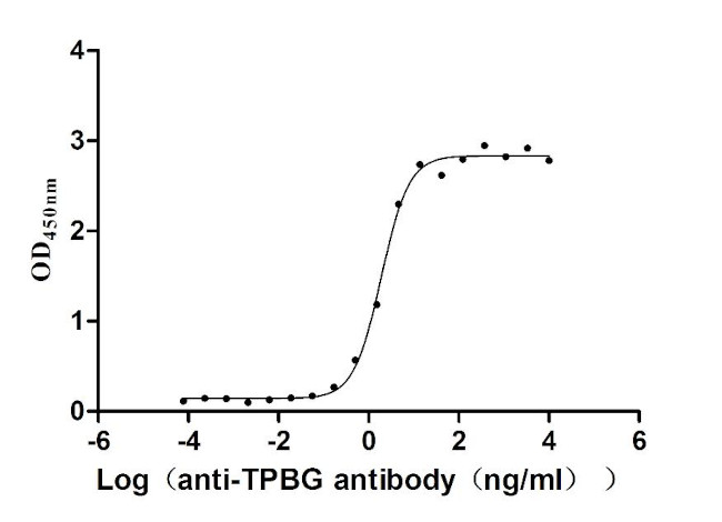 5T4 Antibody in Neutralization (Neu)