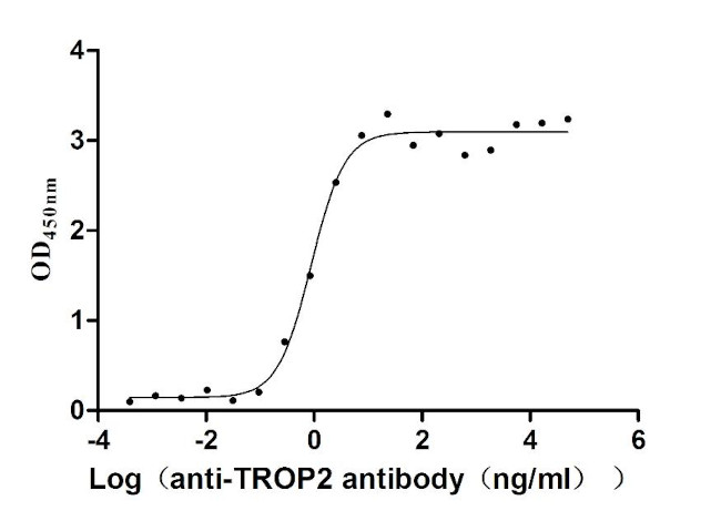 TROP2 Antibody in Neutralization (Neu)