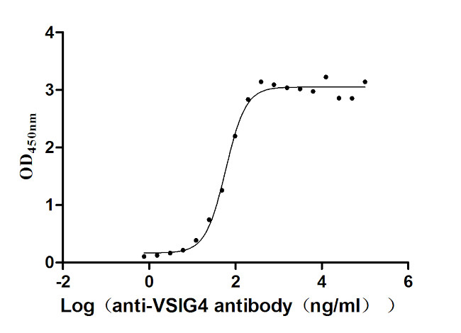 VSIG4 Antibody in Neutralization (Neu)