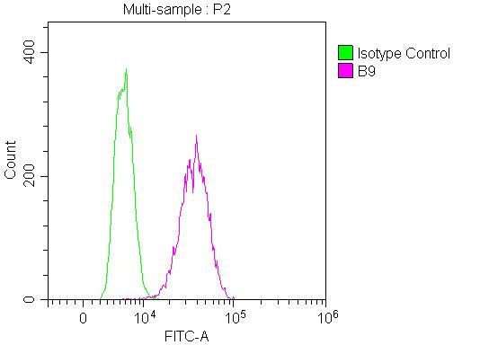 CD147 Antibody in Flow Cytometry (Flow)